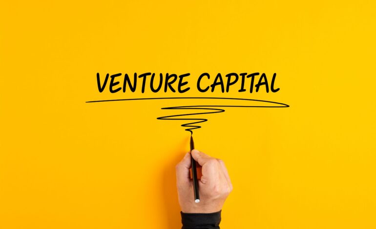 Is venture capital the best asset class?