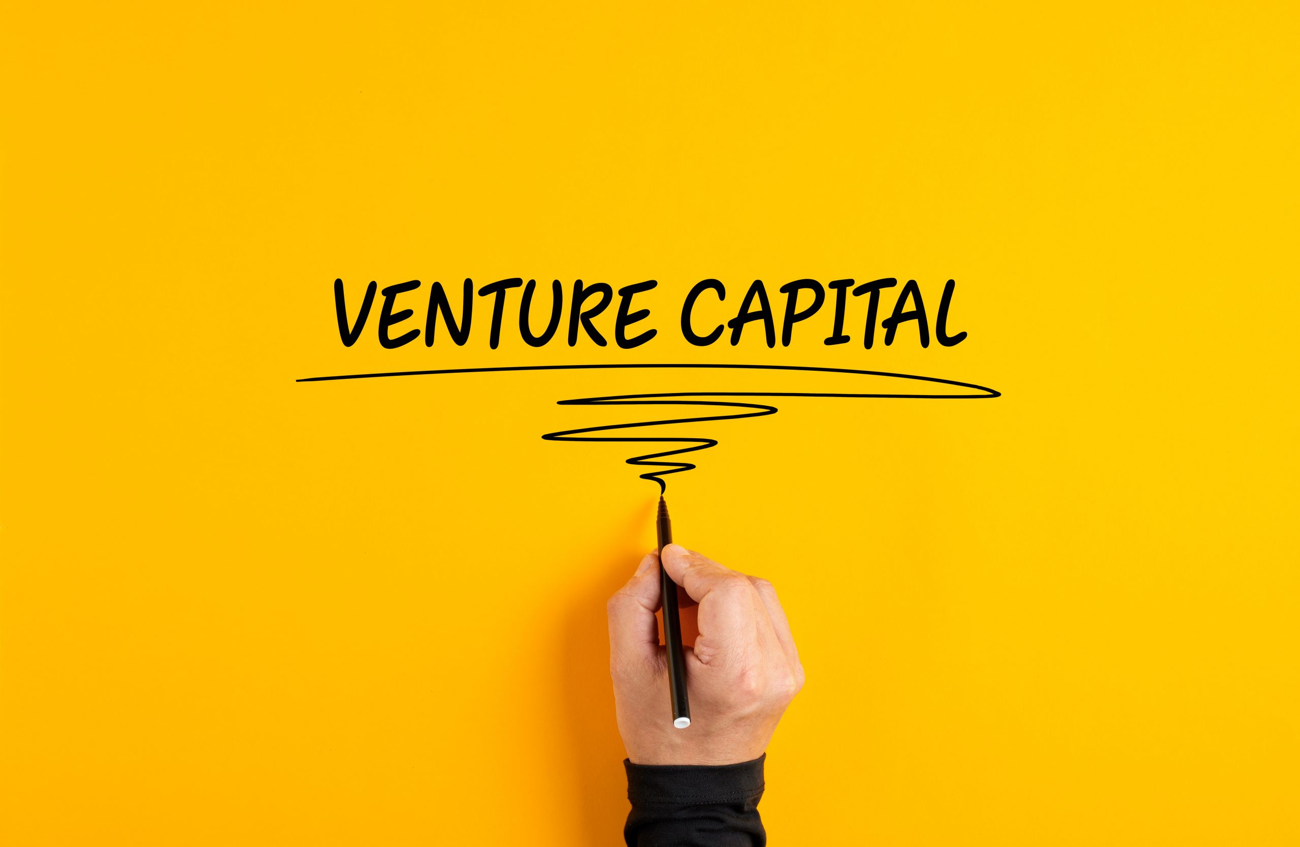 Is venture capital the best asset class?